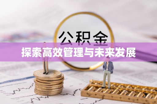 北斗探索高效管理与未来发展