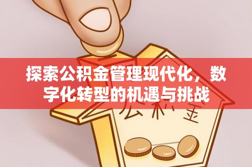 北斗探索公积金管理现代化，数字化转型的机遇与挑战