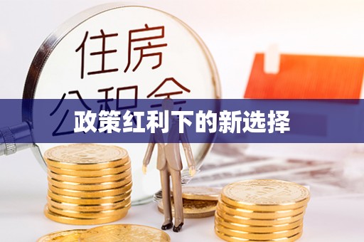北斗政策红利下的新选择