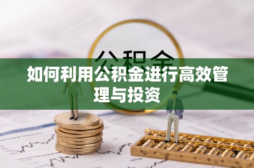 北斗如何利用公积金进行高效管理与投资