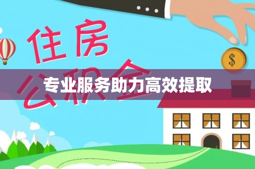 北斗专业服务助力高效提取